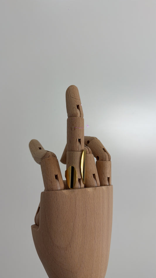 ANILLO ABERTURA