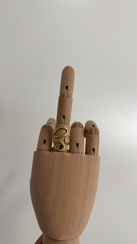 ANILLO S