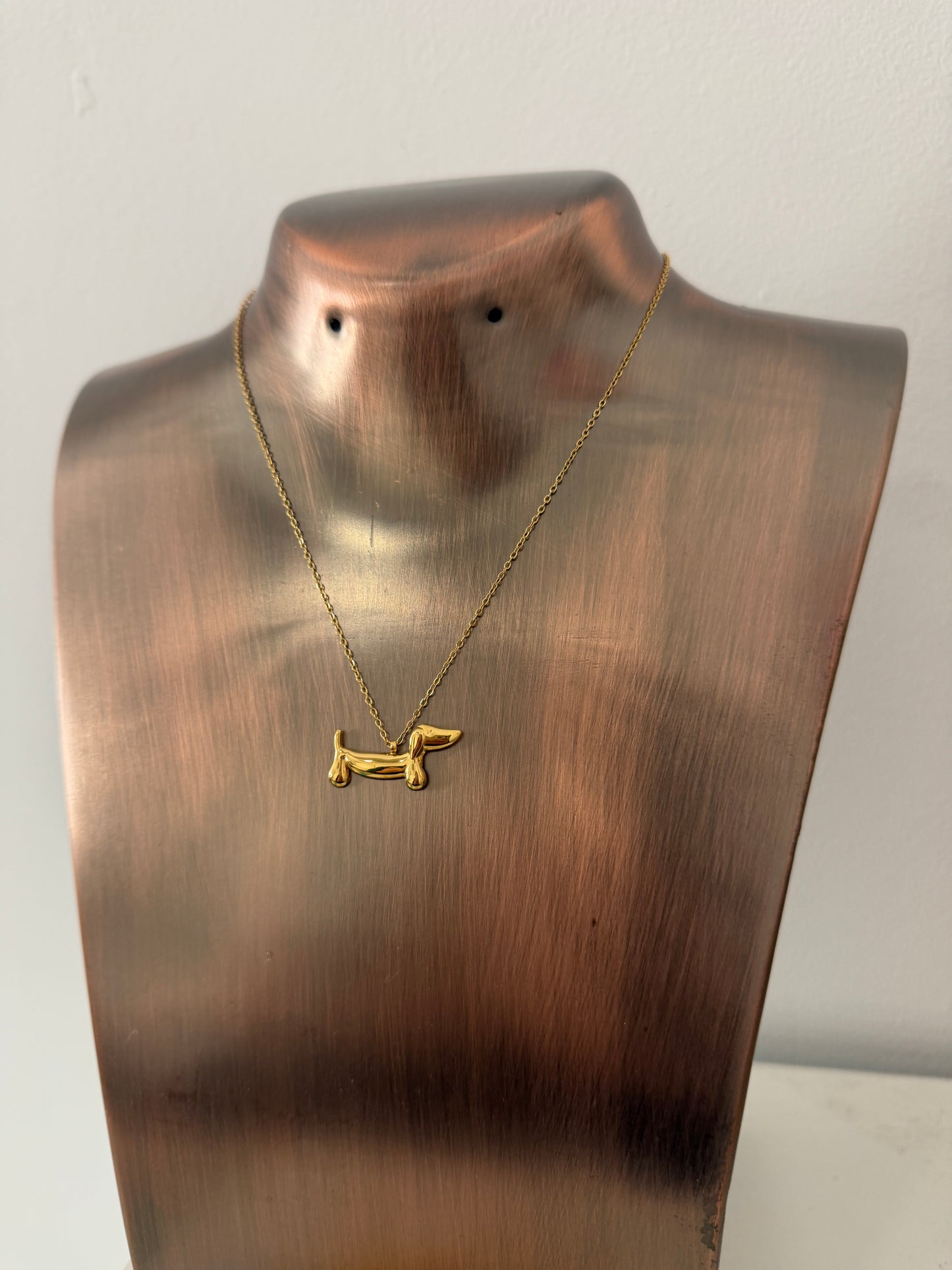 Collar perro salchicha