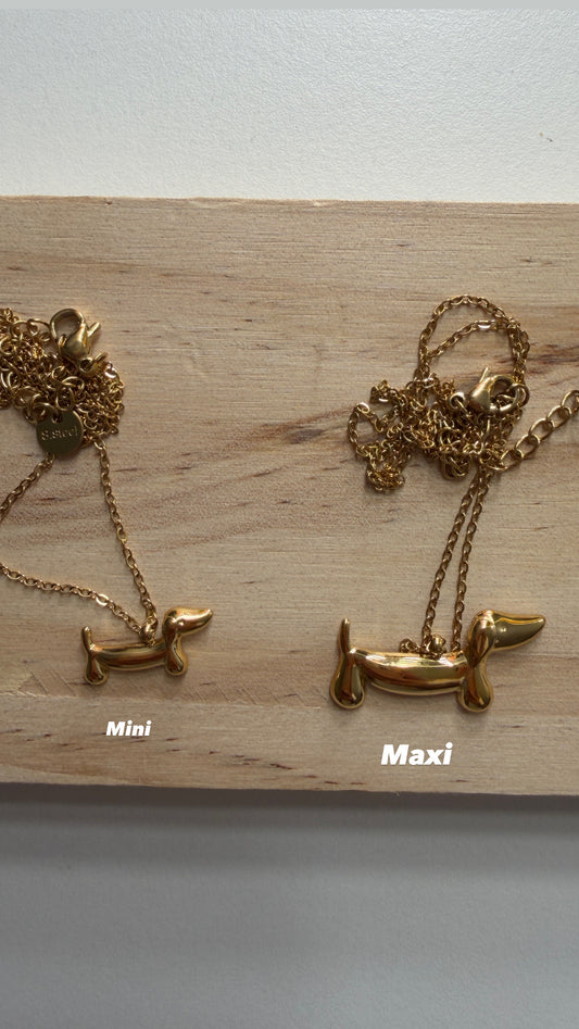 Collar perro salchicha
