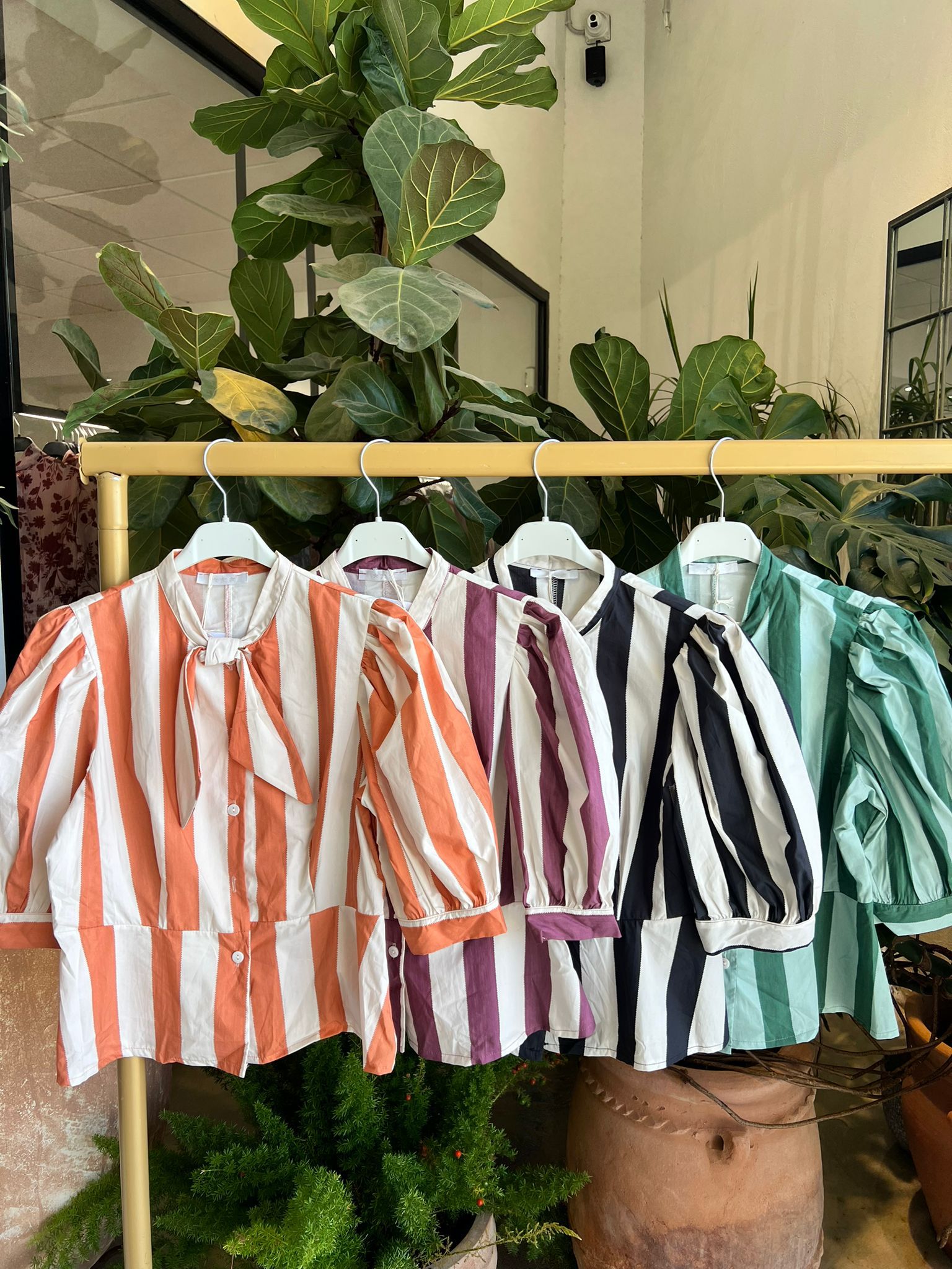 Camisa lazo